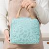 Portable Lunch Bag Leopard Print Lunch Bag Picnic Lunch Box for Women Men Reusable Lunch Tote Bag for Travel Work School