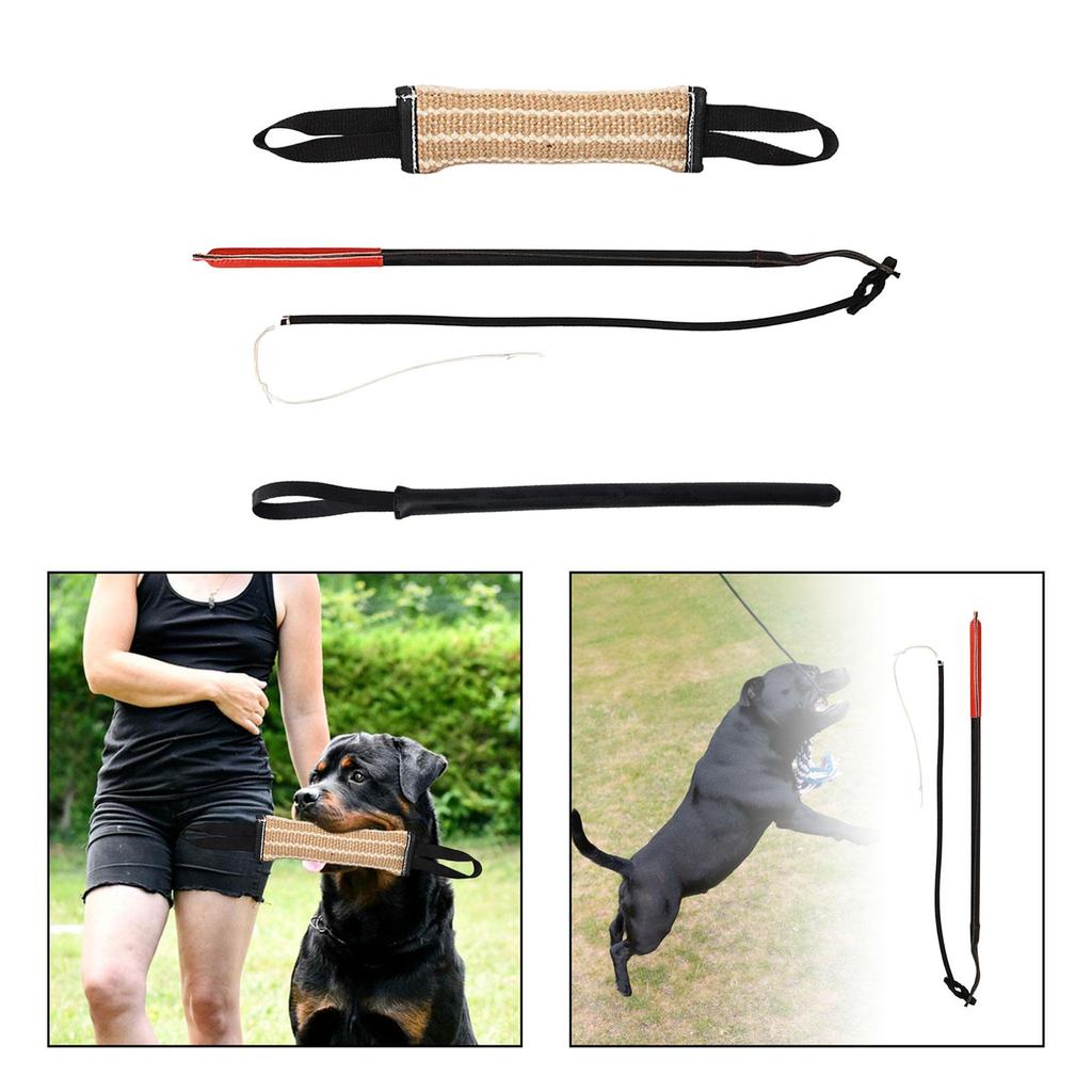 Welpentrainingsausrüstung, Hundekau-Trainingsspielzeug, Interaktives Welpentraining für mittelgroße bis große Hunde