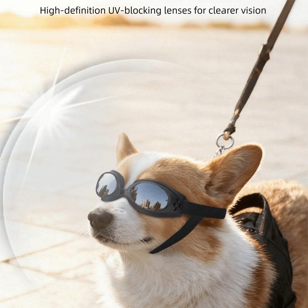 Impact-Resistant Dog Sunglasses Windproof Design Doggie Goggles Pet Glasses  Driving Protection