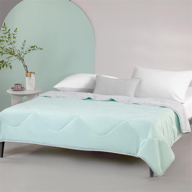 Mercury Home Textiles Refreshing Summer Air-Conditioning Quilt