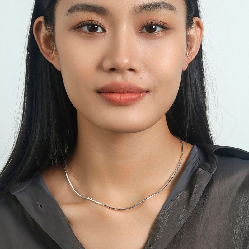 

Moment Бесплатное Свободное Длинное Ожерелье Цепочка Змеиные Кости Цепочка для Свитера Ювелирные Аксессуары Легкая Роскошь Меньшинство 2024 Новое Поступление Silver hexagon 45cm long