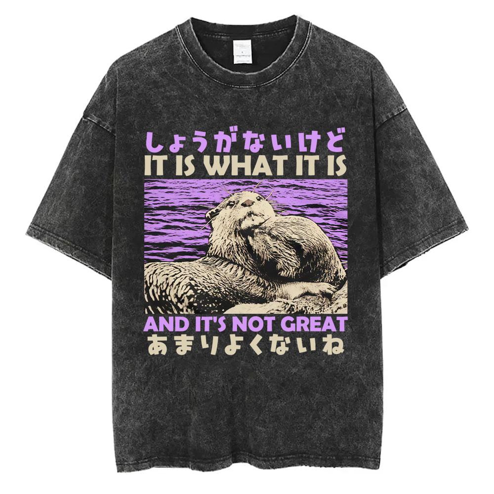 Ich will einen perfekten Körper Ich will eine perfekte Seele T-Shirt Lustige Capybara im japanischen Stil Vintage-gewaschenes T-Shirt Herren Oversized T-Shirts Oberteile