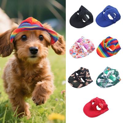 Abbigliamento e scarpe – Cappelli per cani