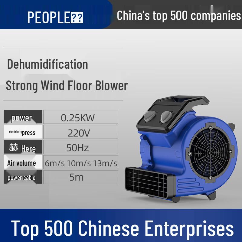 Dual Wind Floor Dryer with Timer - Hot & Cold Carpet and Toilet Blower