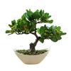 Artificial Plant Offices Parties Restaurants Shops