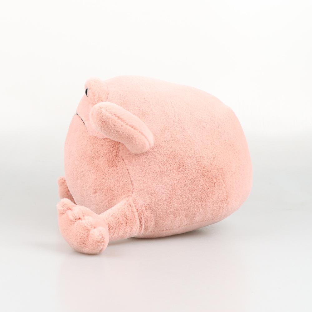 Ricky Regnfrosk Tegneserie Frosk Dukke Flerfarget Pute Mykt Plysjleketøy Ensom