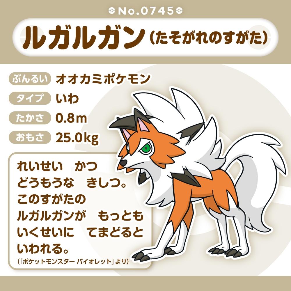 Pokemon Plüschpuppe Pokémon fit 745 Wolwerock ( Abenddämmerungsform ) Japan NEU