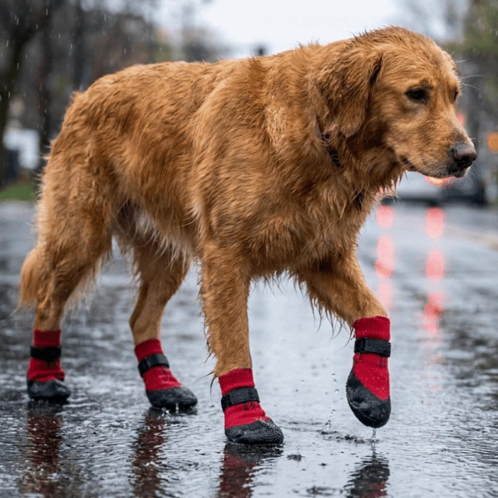 4PCS Wear Resistant Non-slip Pet Boots Breathable Dog Foot Covers Pet Shoes Covers  For Dogs Cats