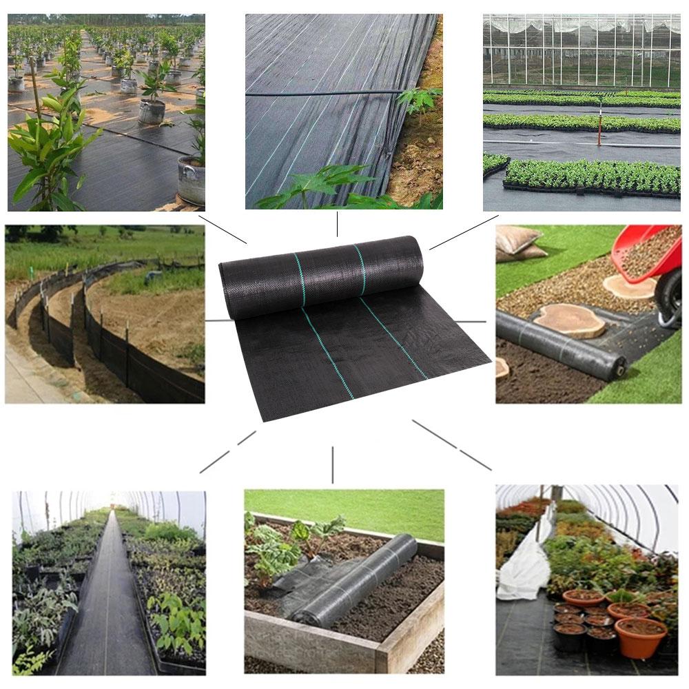 Membrana per Paesaggistica Giardino Esterno Viale Pavimentazione Agricoltura Fioriera Facile Installazione Tessuto per Controllo Erbacce Bordo Anti UV