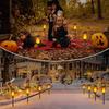 Solar Torch Light with 96 LED Flame Effect - Outdoor Courtyard Lamp, 51 LED Lawn & Garden Landscape Light