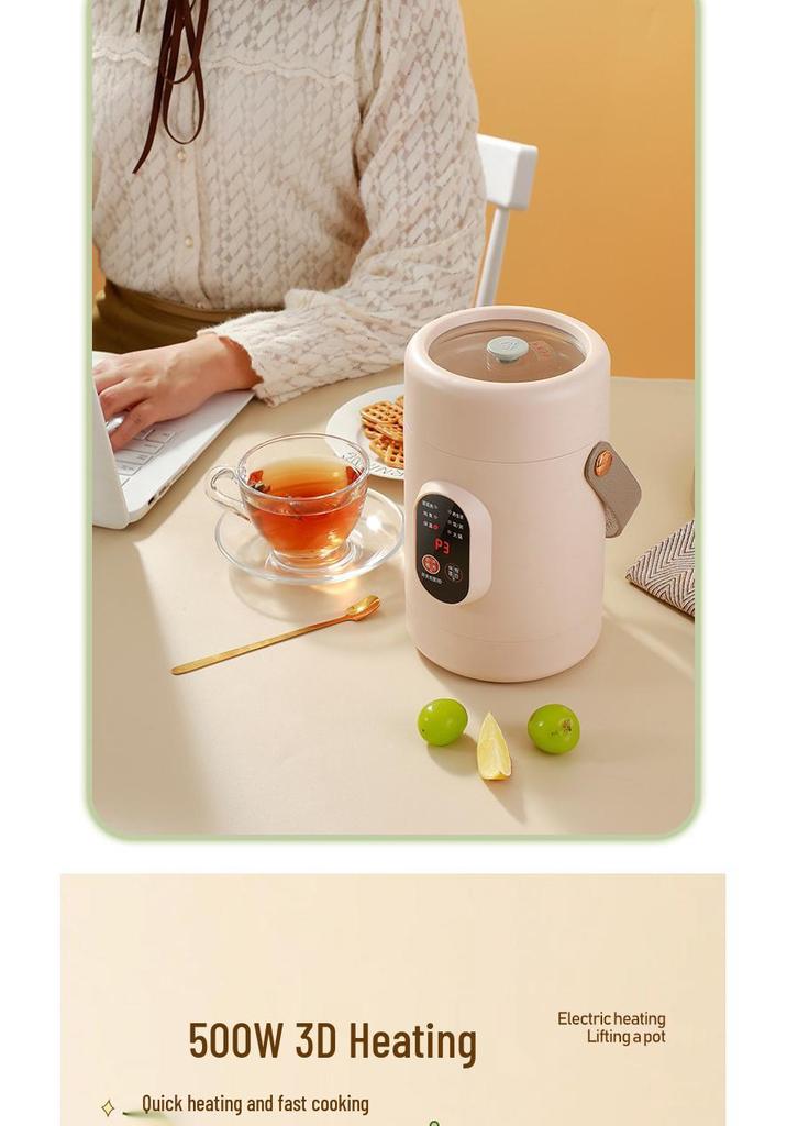 Douyin Celebrity Electric Stew Pot: Portable Multi-Function Soup & Porridge Cooker with Clear Stainless Steel Design