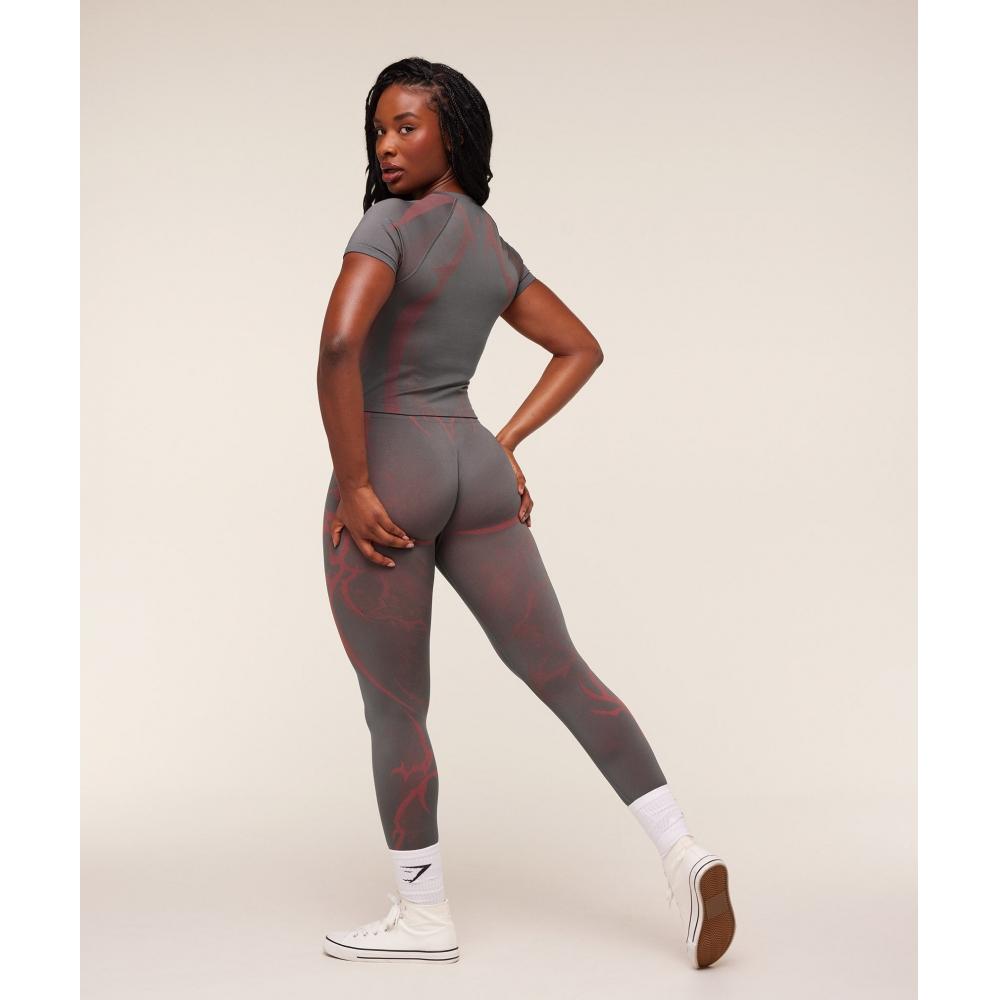 Gymshark Storm Seamless LegginGs Gs Dark Grey Gs Zesty Red B5b8o Gdy6