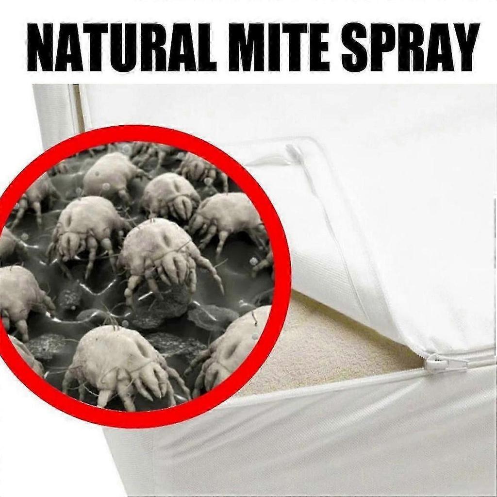 Lice and Scabies Treatment Spray and Cream for Effective Elimination of Lice and Mites