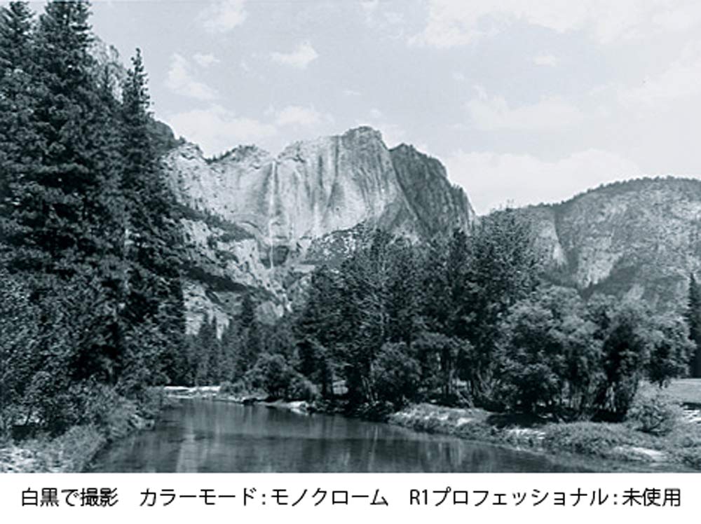 Kenko Lens Filter MC R1 Professional 58mm for Monochrome Photography 158371