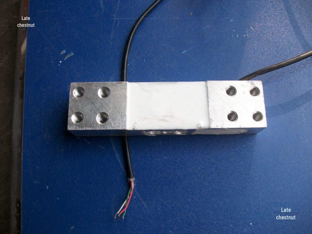 TCS Platform Scale 200kg Capacity Parallel Beam Weighing Sensor