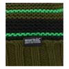 Regatta Childrens/Kids Davin VI Beanie