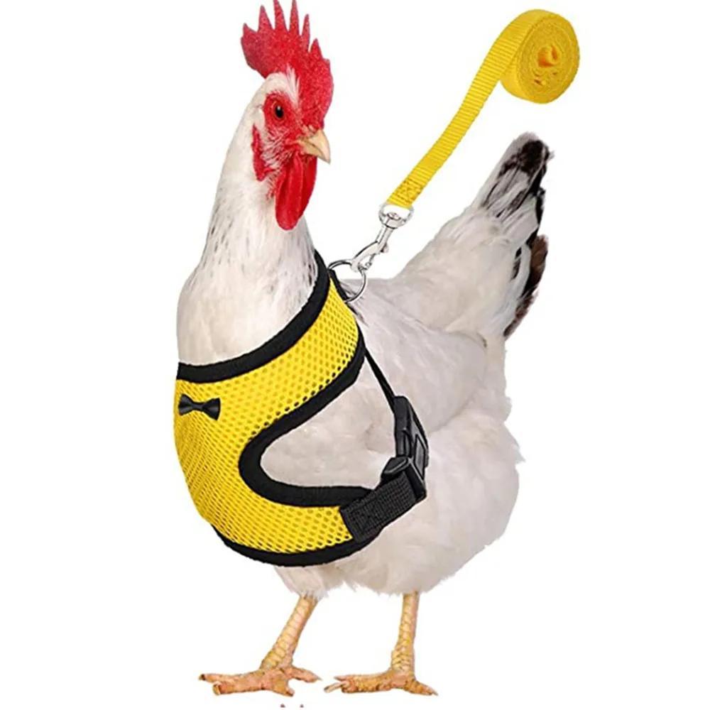 1 Pcs Fashion Chicken Duck Vest Hen Belt Pet Harness Matching Collars Bow Comfortable Leads Breathable Poultry Supplies
