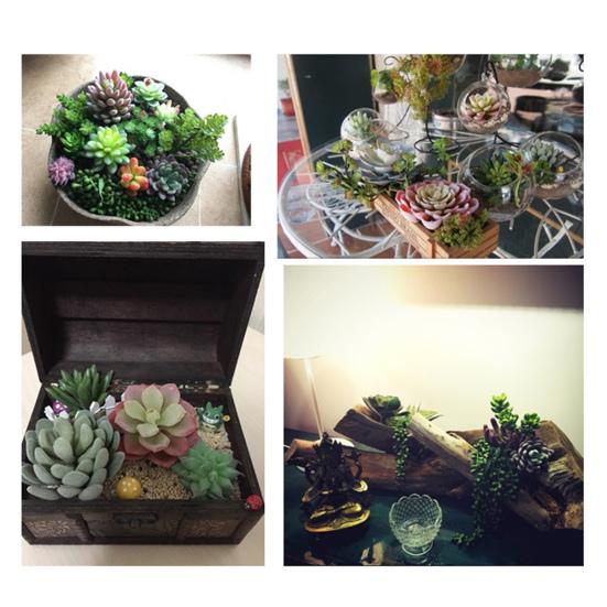 Micro Landscape Ornament Simulation No Watering Realistic Ornaments Flocking Texture Indoor