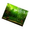 Water Grass   Aquarium Fish   Background Poster PVC Adhesive Decor Paper (122*61cm)