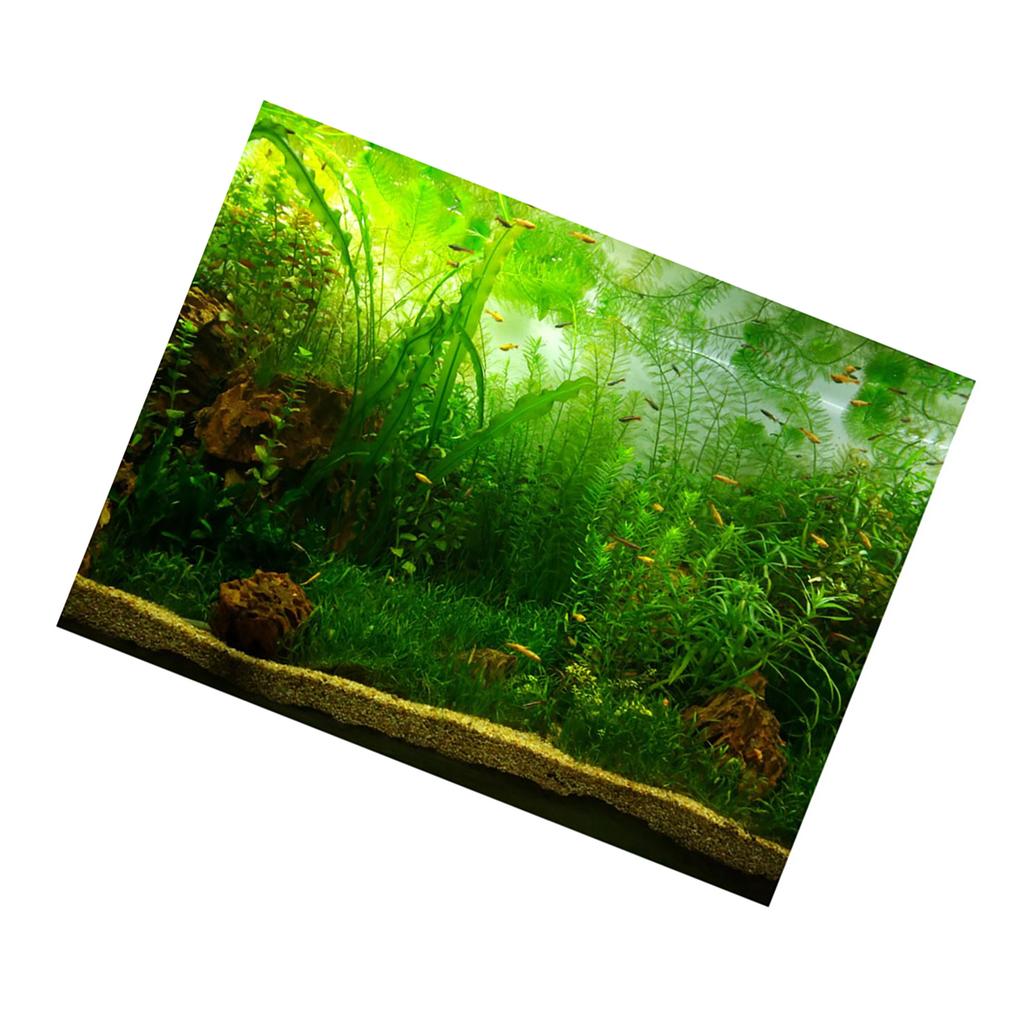Water Grass   Aquarium Fish   Background Poster PVC Adhesive Decor Paper (122*61cm)