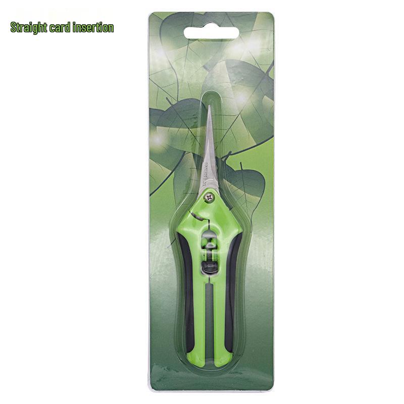 Stainless Steel Straight Head Pruning Shears for Flowers, Branches, and Fruit Trees.