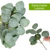 100 Pcs Artificial Eucalyptus Stems Fake Greenery Leaves Stems Faux Eucalyptus Plant for Floral Arrangement Green Leaves Decor