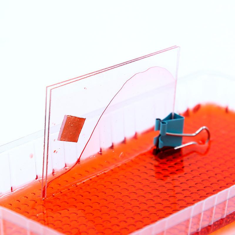 

Science Experiments Educational Material For Kids With Capillary Phenomenon Demonstration