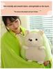 Cute Hedgehog Plush Toy & Soothing Pillow Doll - Perfect Birthday Gift