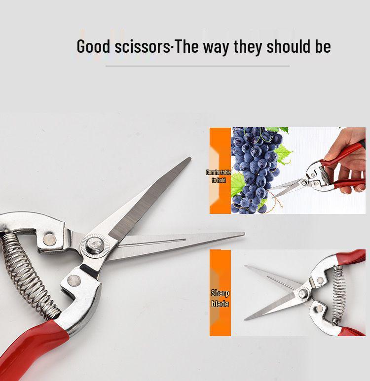 Gardening Shears Set: Pruning & Thinning Tools for Fruit, Vegetables, Sweet Potatoes, Grapes, and Apples; Includes Picking and Prickly Ash Shears.