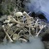 28Pcs Halloween Skeleton Bones Halloween Props Skeleton Tricky Bones Haunted House Party Decorations