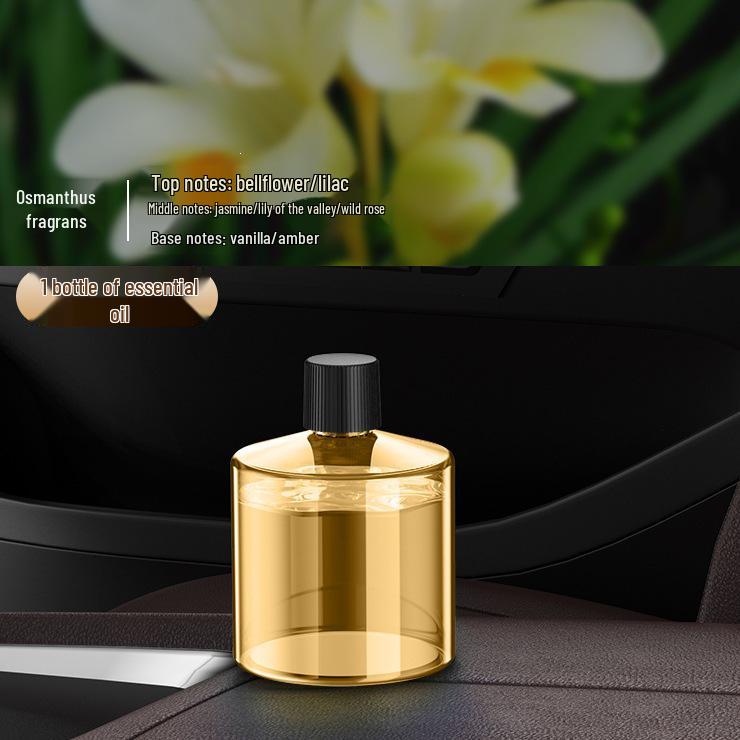 Smart Car Aromatherapy Humidifier: Automatic Spraying Ornament for High-End Car and Home