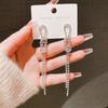 Silver Needle Long Fringed Earrings Women's Cold Temperament Full of Diamonds, High-end Sense Light Luxury Stud Earrings
