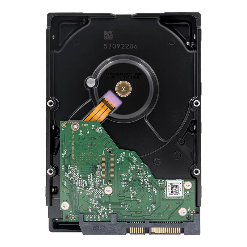 Hikvision WD 8TB Surveillance Hard Drive CN plug (adapter included)