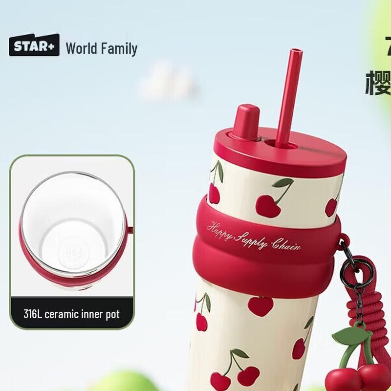 Shidajia Large Capacity Insulated Straw Tumbler