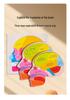 Early Childhood Educational Wooden Puzzle: Multi-layer Body, Brain & Organ Development Toy