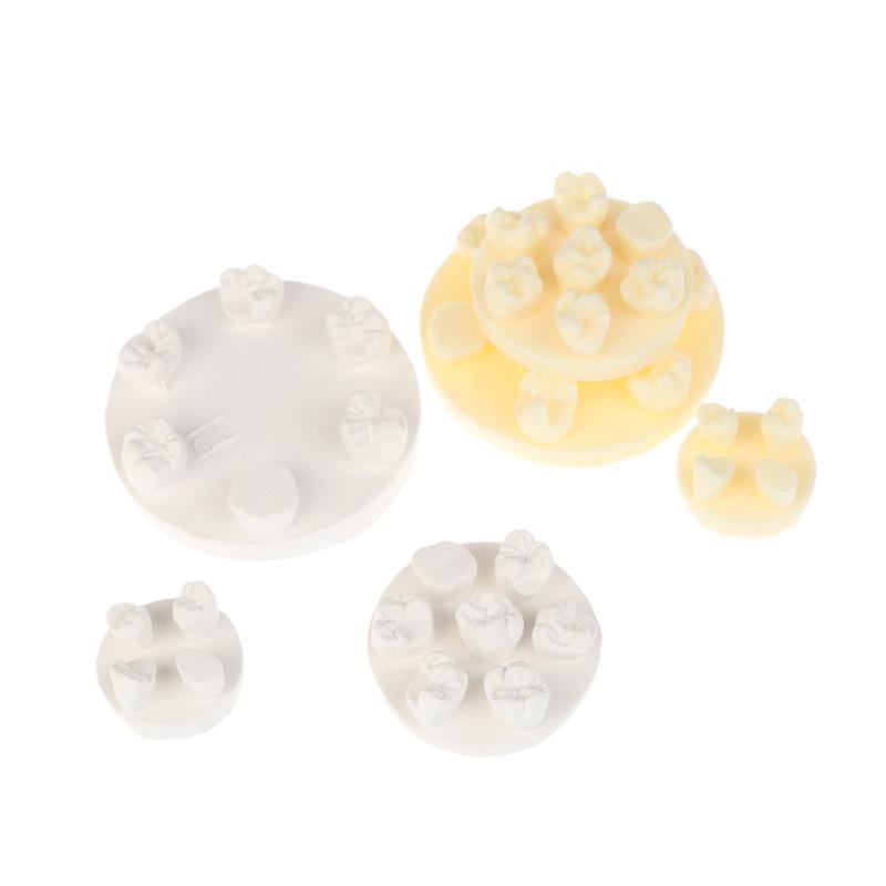 Dental Inlay Exercise Model Block Filling Exercise Plaster/Resin Materials Oral Filling Model For Dentistry Teaching Study