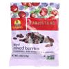 Sun-Maid FarmStand Reserve™, Dried Mixed Berries, 5 Pack, 0.8 Oz (23 G) Each