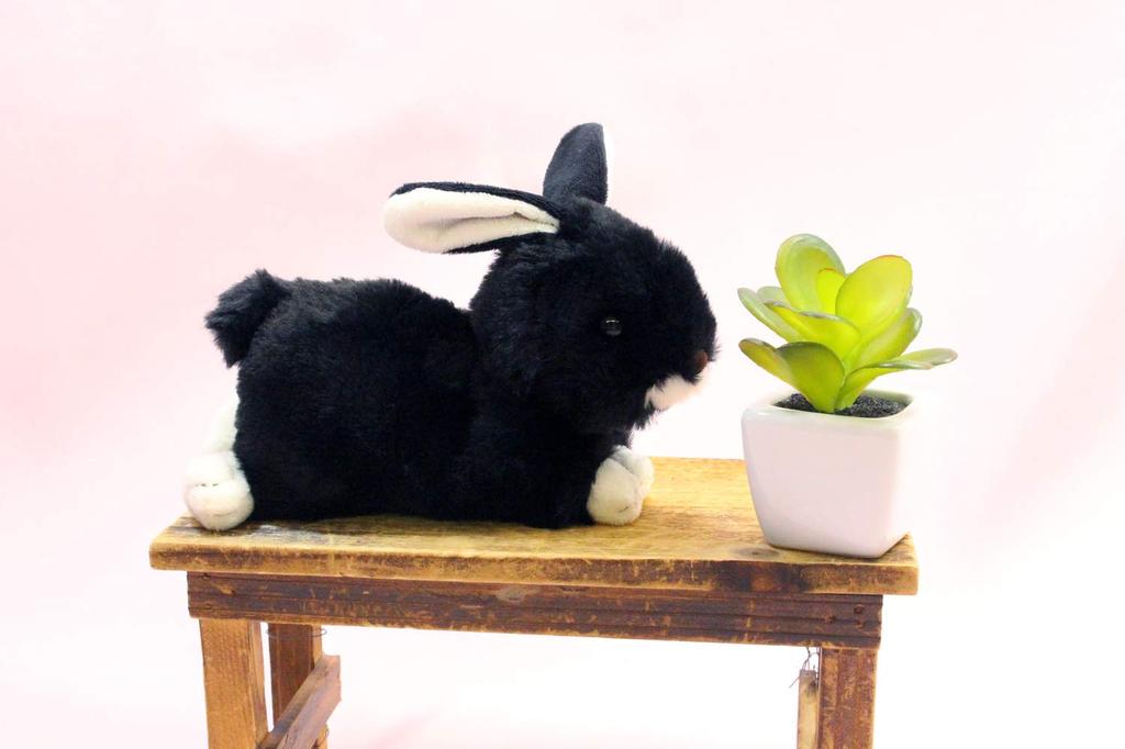 Take Off Rabbit Maron Rex Black