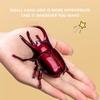 Clockwork Rhinoceros Beetle Toy Insect Crawling Pets Model Realistic Movement Collection Nature Lover'S Gift For Children