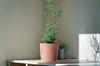 Round Pot Tubo P Concrete Effect 200E with Saucer | Anthracite