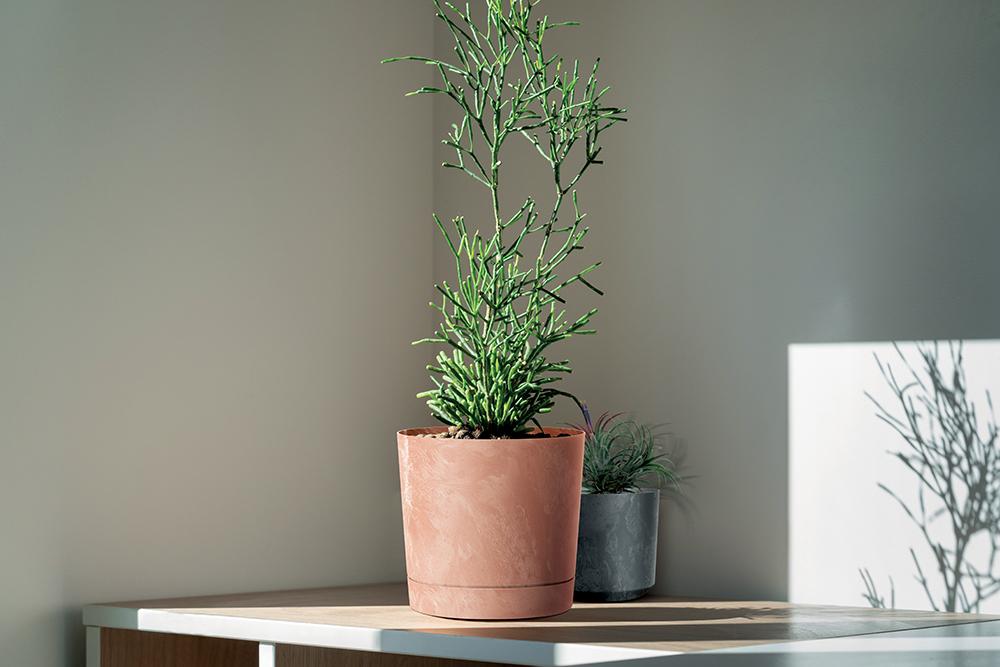 Round Pot Tubo P Concrete Effect 200E with Saucer | Anthracite