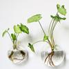 Wall Hanging Semi-circular Glass Flower Vase Plant Hydroponic Terrarium Wall Fish Tank Aquarium Container Home Decor