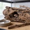 Caverna Esconderijo para Répteis Abrigo de Casca Natural para Tartaruga Lagarto Gecko Escorpião Aranha Anfíbio Decoração de Terrário Habitat Escalada