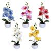 Multicolor Artificial Orchid Bonsai White Flowerpot Green Leaves Simulation Flower Potted Photo Props Accessories