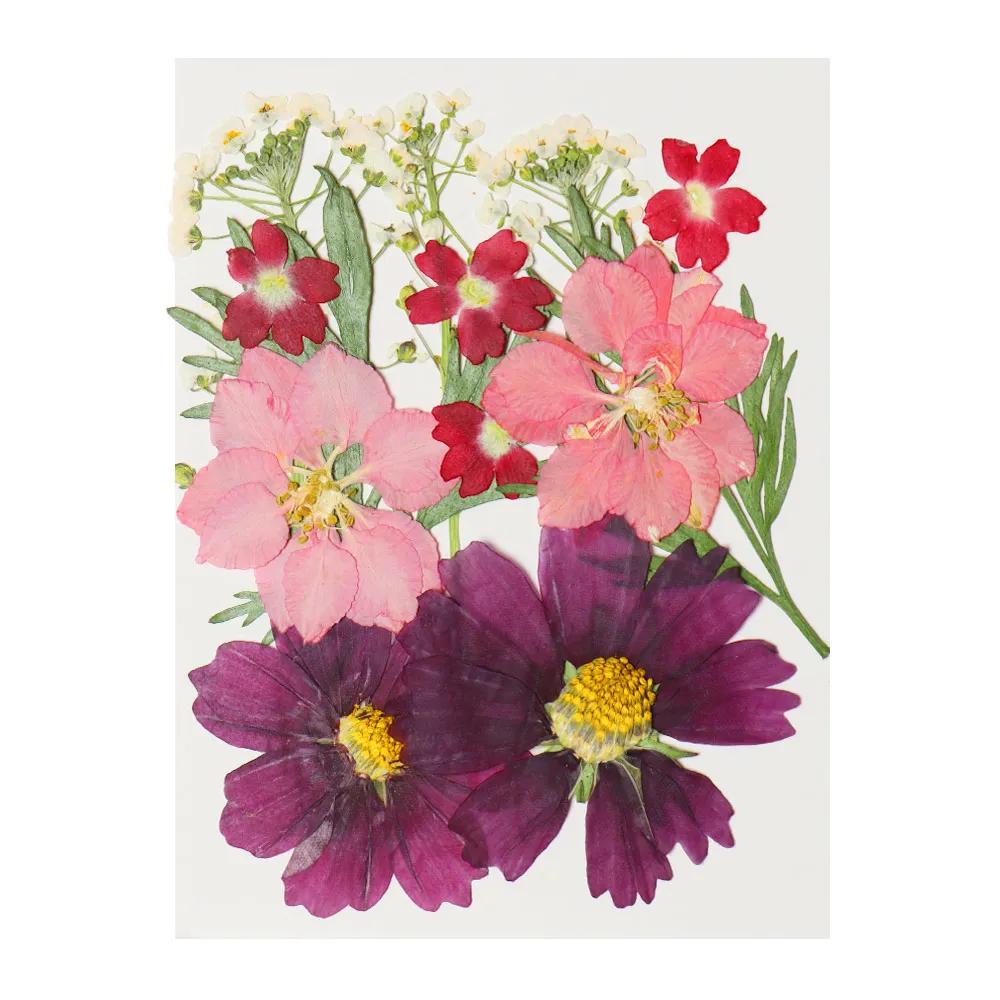 Real Natural Dried Flowers Pressed Flowers Resin Mold Fillings Flower for DIY Candle Resin Crafts Jewelry Nail Art Beauty Decal
