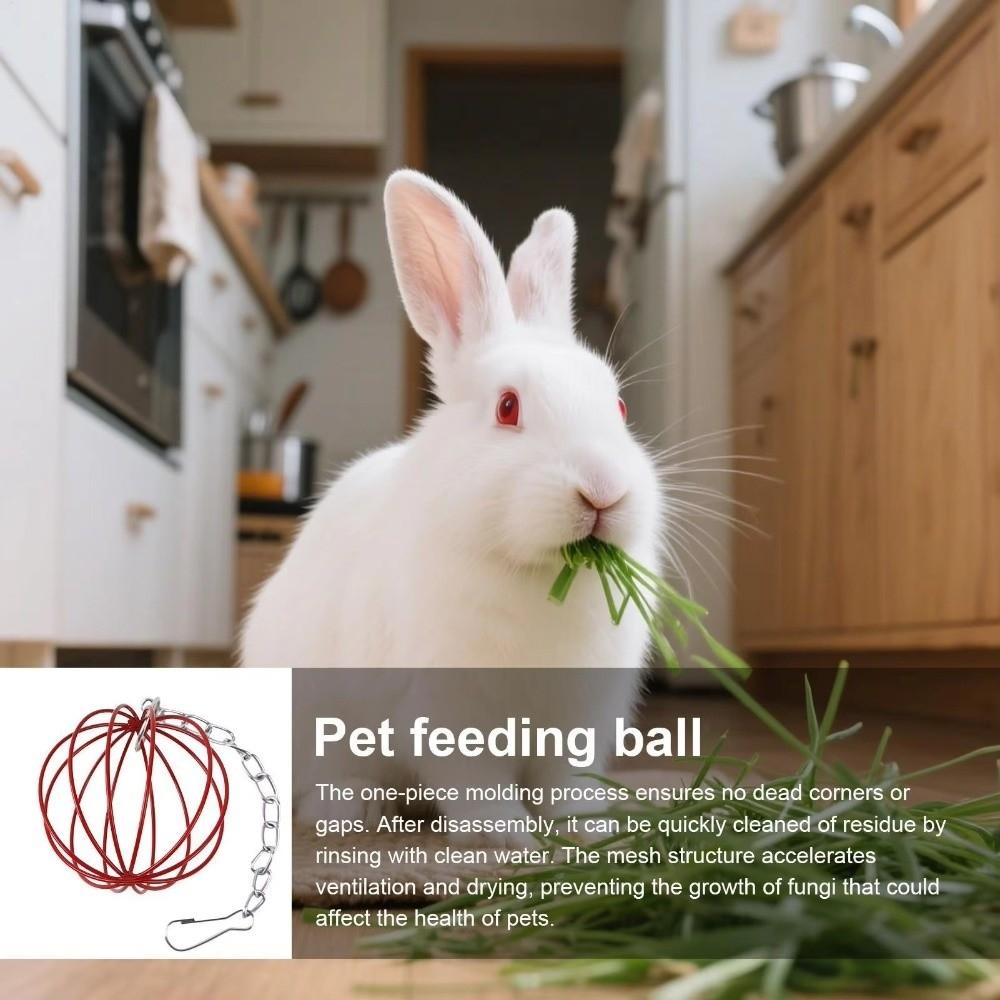 Stainless Steel Rabbit Feeding Ball Round Hanging Grass Ball Rabbit Grass Feeder For Small Pets