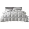 Class A Polish 95% White Duck Down Winter Duvet