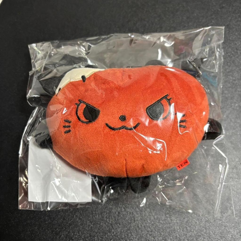 [USED] WAYV Ten Ishin Reversible Plush Keyring