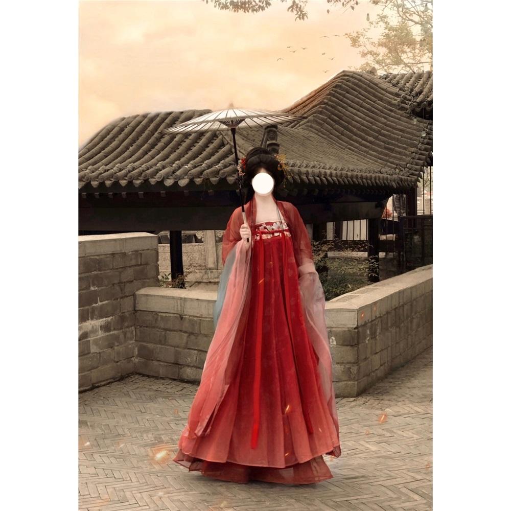 Rochie HE ZI în stil chinezesc din dinastia Tang Costum pentru femei Hanfu Costum zilnic brodat