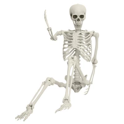 5.4FT Poseable Skeleton Prop Life Size Plastic Halloween Human Bones Skeleton Party Supplies